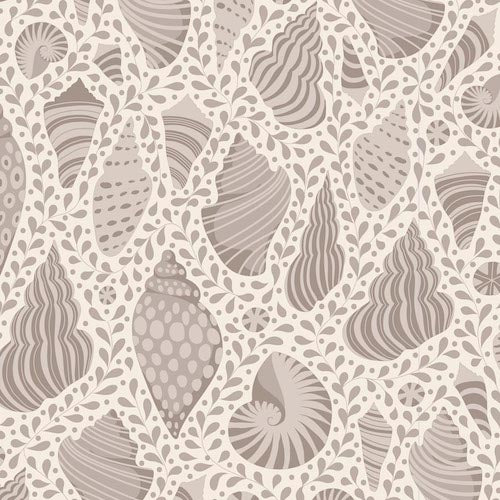 Cotton Beach : バンドル Beach Shells - 300108